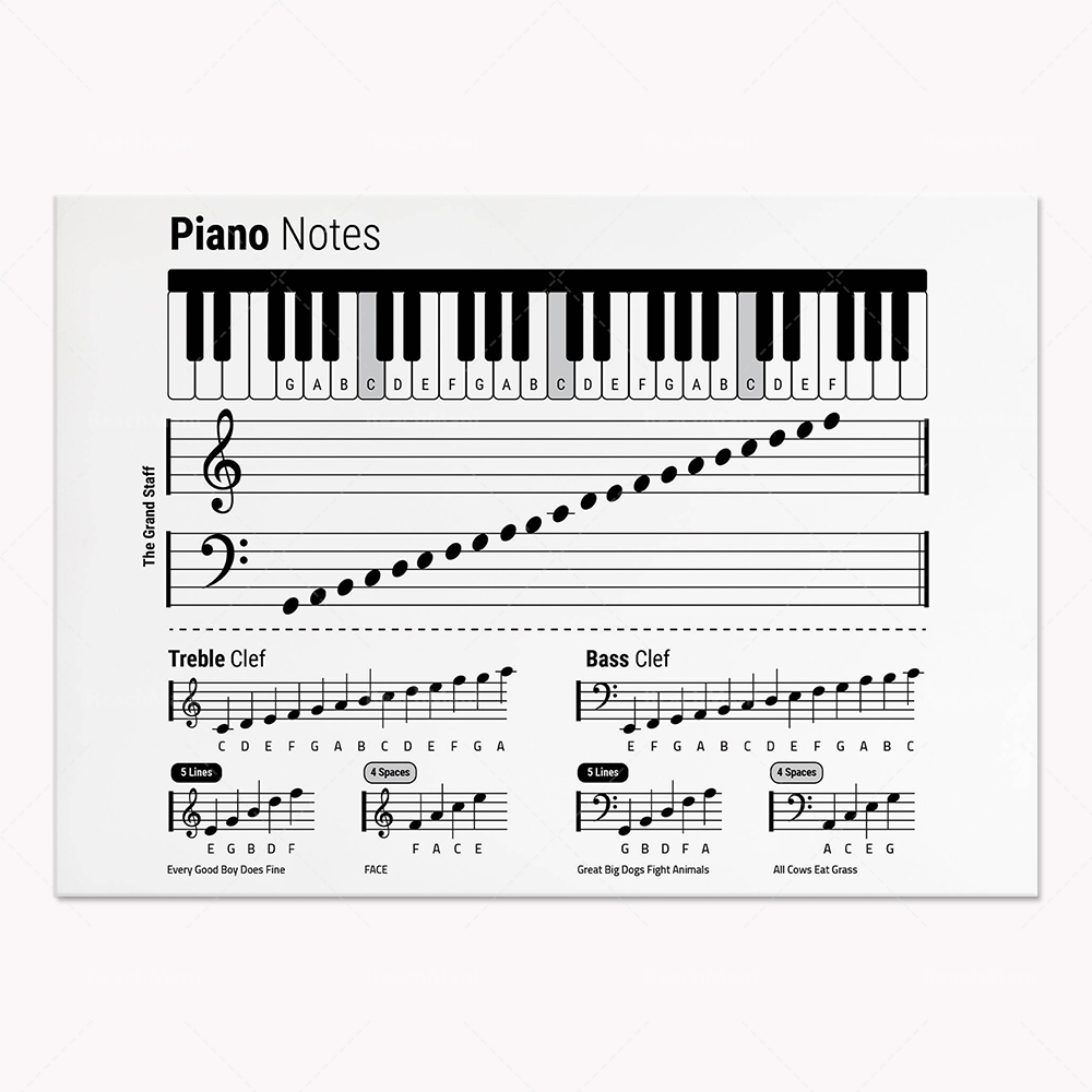 ทฤษฎีกีตาร์ เปียโน สเปกตรัมเสี - Audio To Music Sheet บทวิจารณ์และราคา